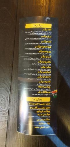 عکس گردن برگر (شعبه بهار)