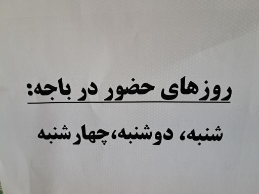 بانک شهر