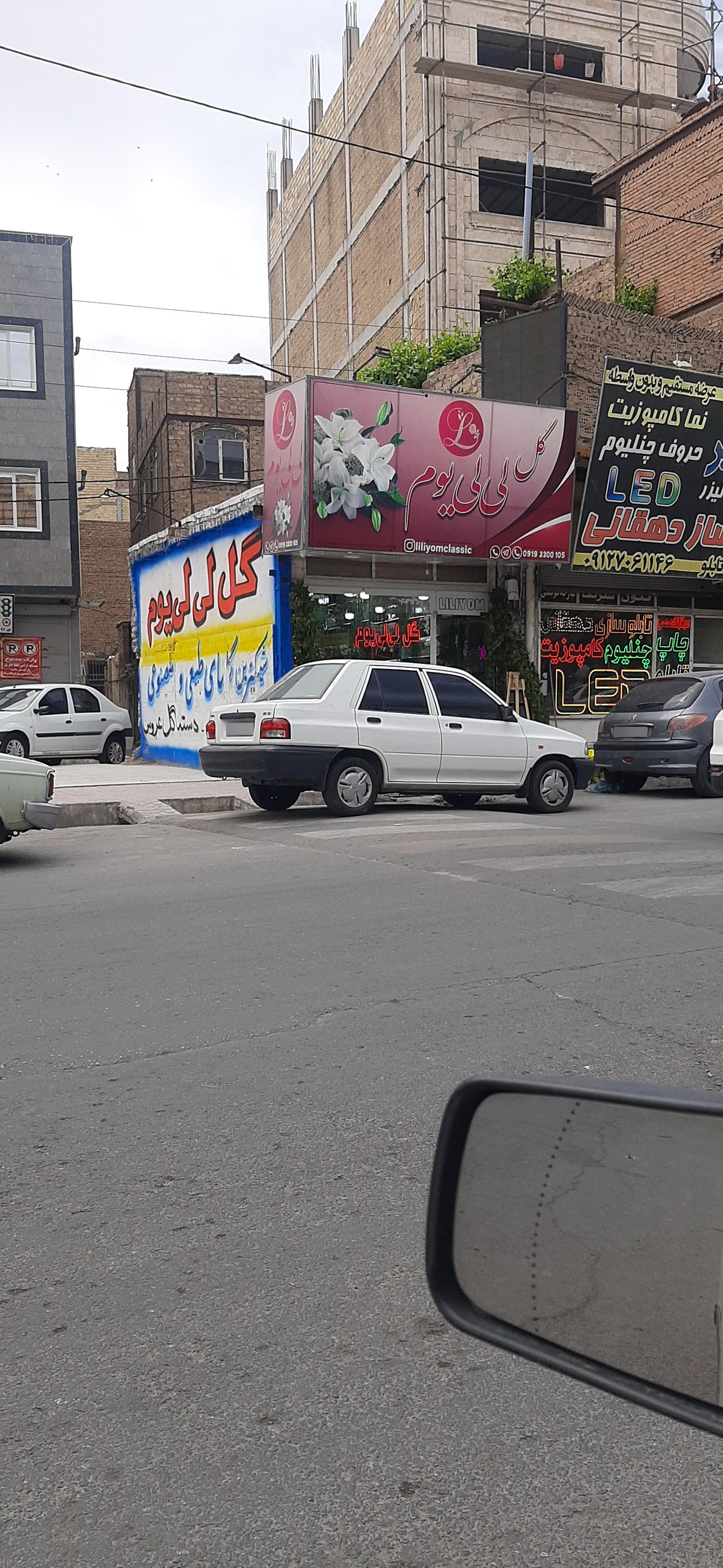 عکس گل لی لی یوم