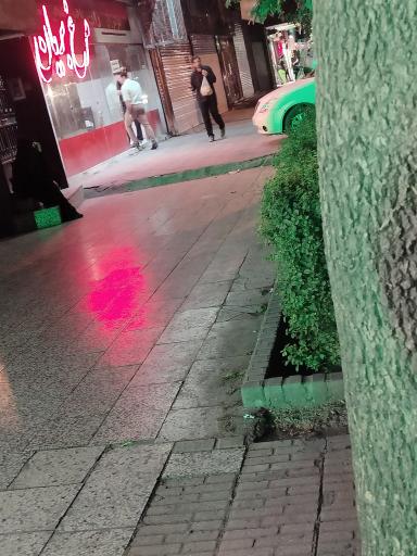 عکس مرغ بریان حاج محسن