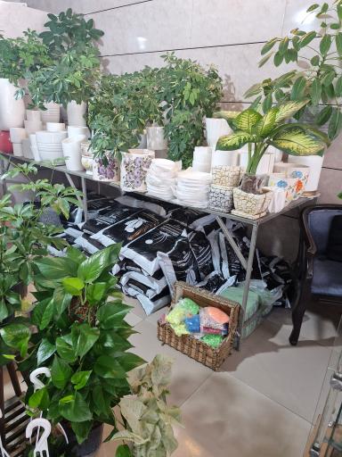 عکس گلفروشی حمید