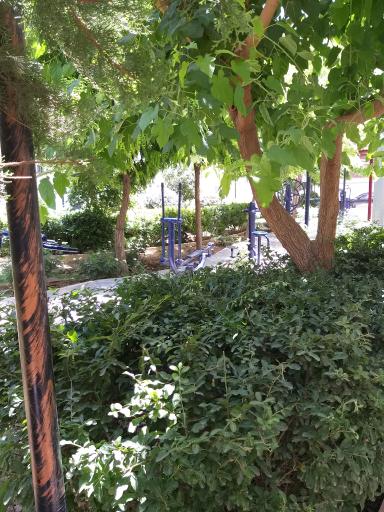 عکس بوستان طبیعت