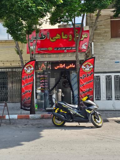 عکس فروشگاه مرغ و ماهی اطلس