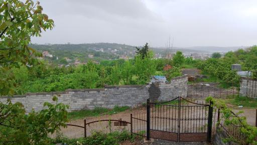 عکس واسکس