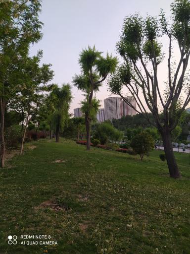 عکس ورودی بوستان جوانمردان