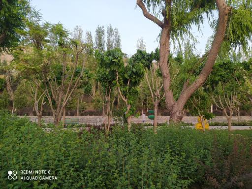 عکس ورودی بوستان جوانمردان