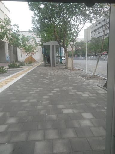 عکس  حرم مطهر (نواب)