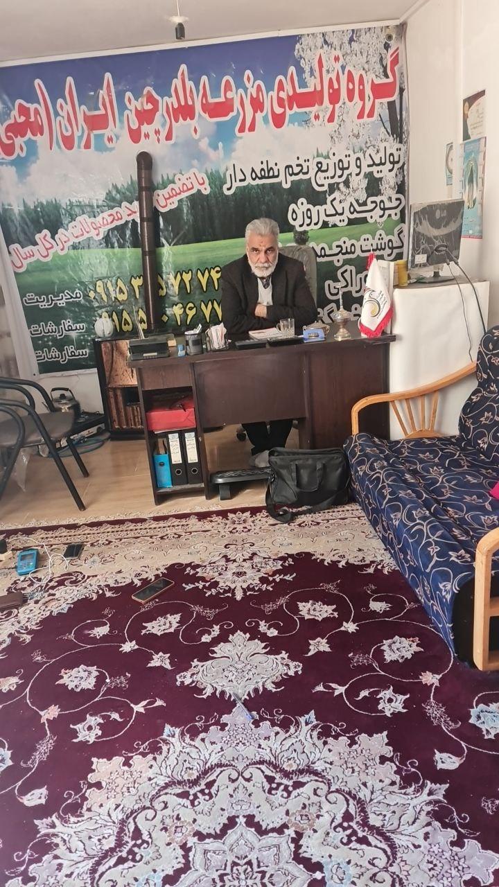 عکس تجارت طیور ایران محبی 