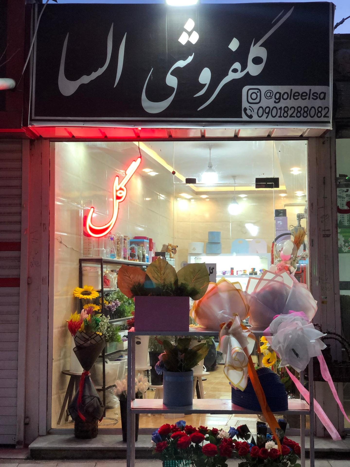 عکس گل السا