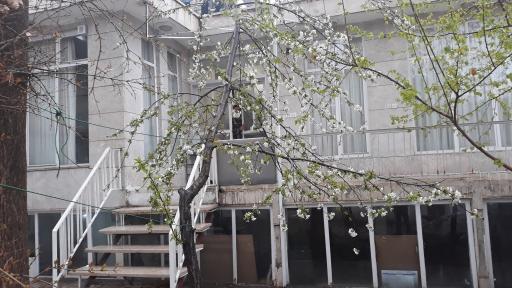 موسسه تربیت معلم محیا