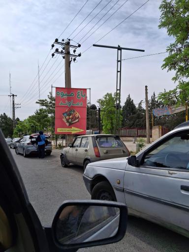 عکس باغ میوه دماوند