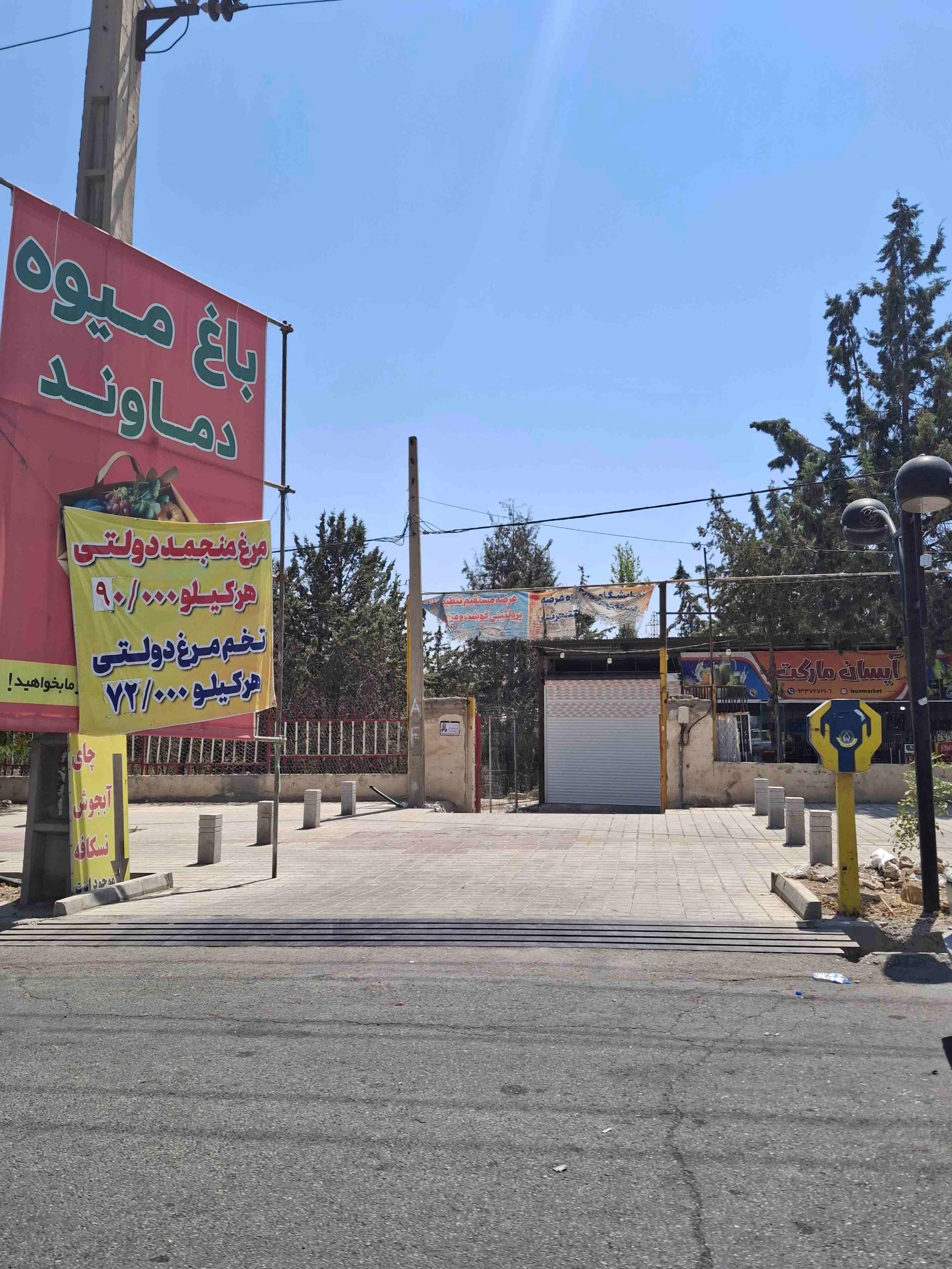 عکس باغ میوه دماوند