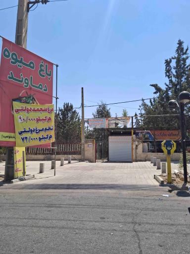 عکس باغ میوه دماوند