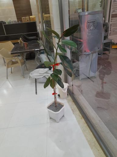 عکس کباب ماهی عبدی