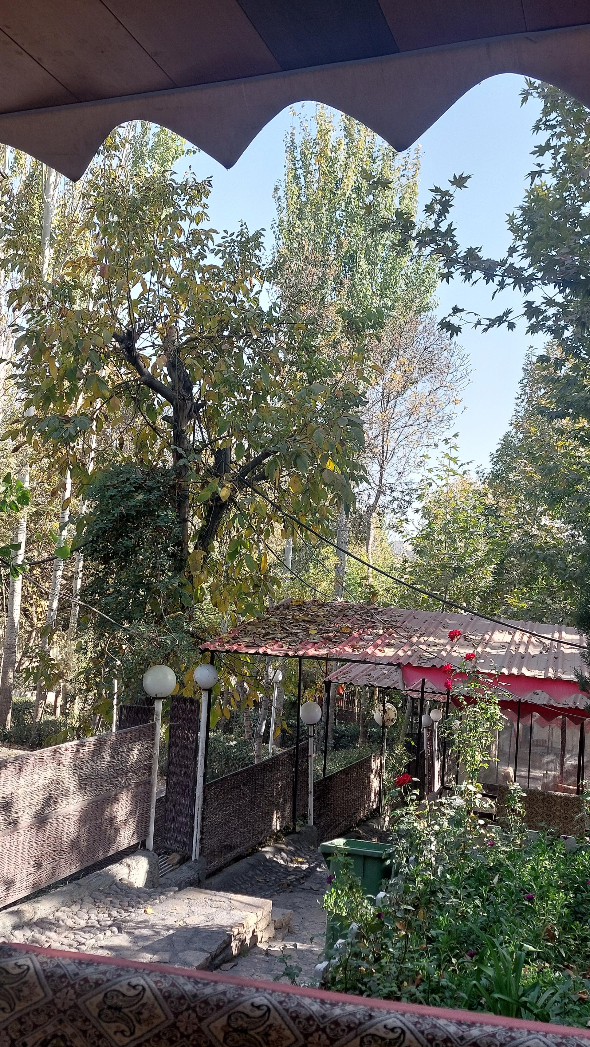 عکس رستوران امید