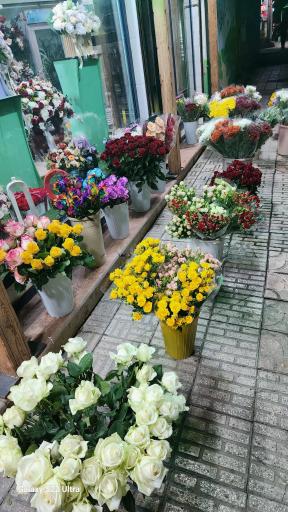 گلفروشی دیبا