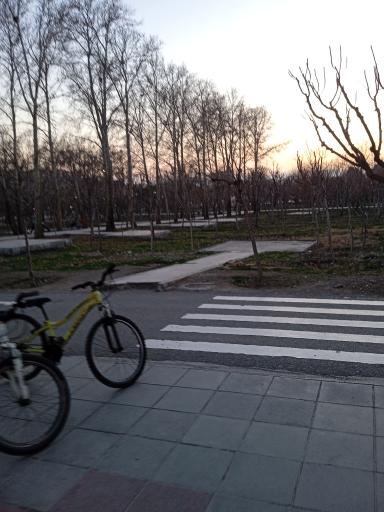 عکس زمین ورزشی پارک خانواده