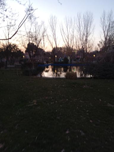 عکس زمین ورزشی پارک خانواده