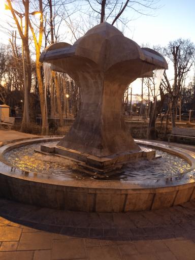 عکس زمین ورزشی پارک خانواده