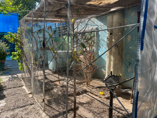 عکس مرکز توانبخشی شبانه روزی معلولین ذهنی دخترانه سحر