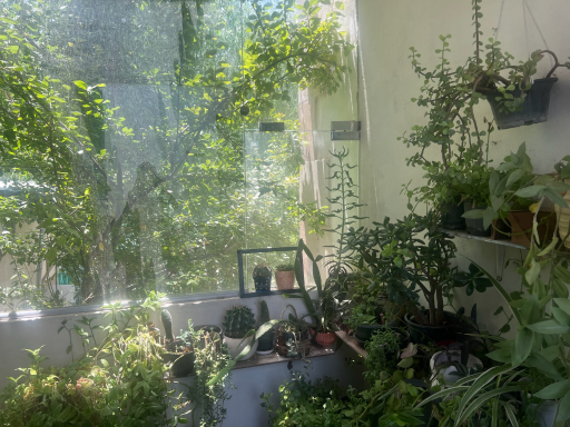 عکس مرکز توانبخشی شبانه روزی معلولین ذهنی دخترانه سحر