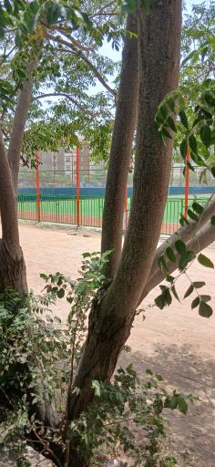 عکس ورزشگاه شهید قیانوری