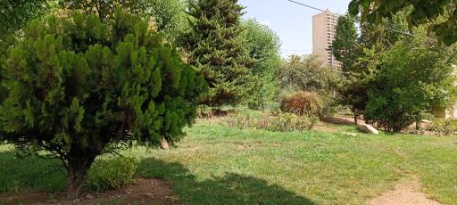 عکس بوستان مادر