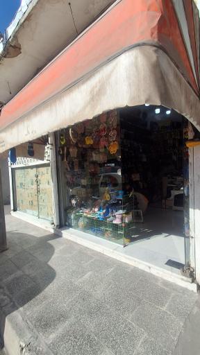 عکس کفش و صندل عموحسین