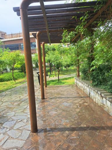 عکس بوستان فرشی