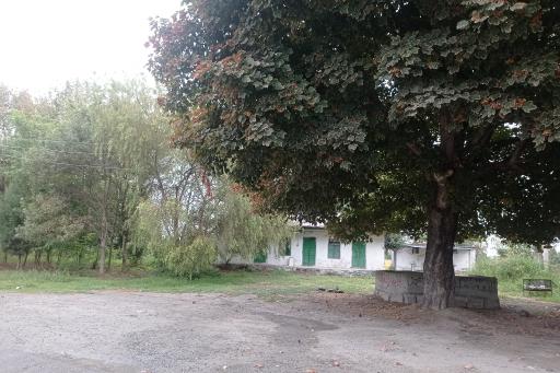 عکس امامزاده علیرضا سرطاق