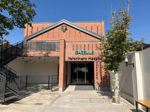 بیمارستان دامپزشکی غزال 