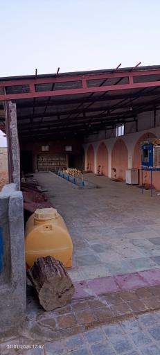 باشگاه سوارکاری شاهان