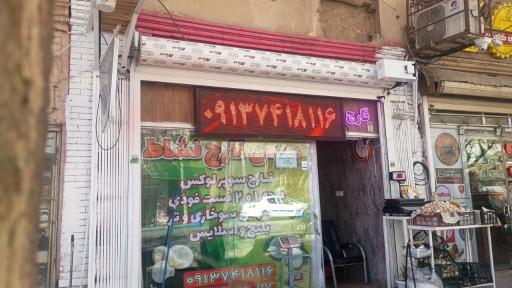 عکس تولید و توزیع قارچ نشاط