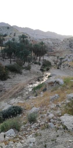 عکس بنو تنگمان جمال آباد