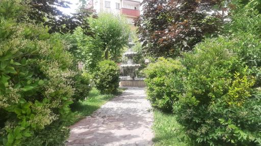 عکس بوستان صدف