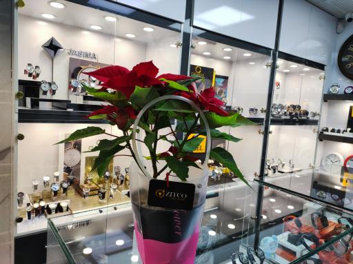 عکس ساعت کده توکلی ۲