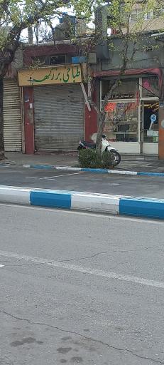 عکس طباخی بزرگمهر