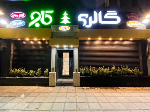 عکس گالری هدیه و فانتزی کاج شعبه 2