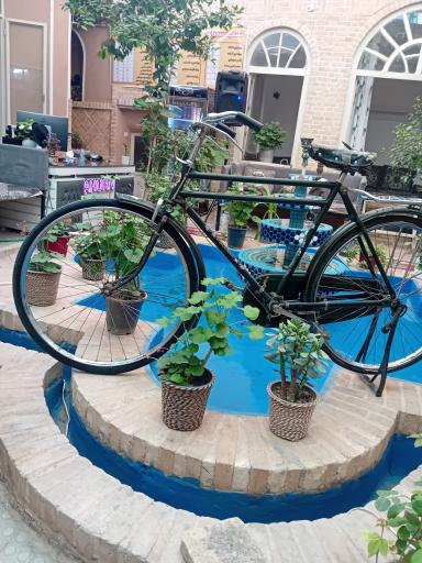 عکس شبسرای عموناصر