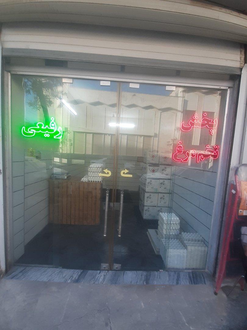 عکس پخش تخم مرغ رفیعی