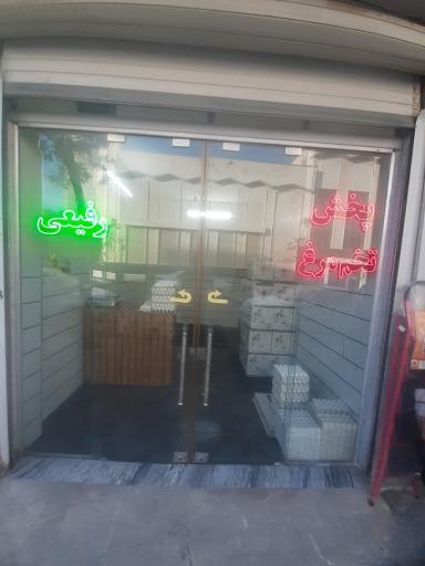 عکس پخش تخم مرغ رفیعی