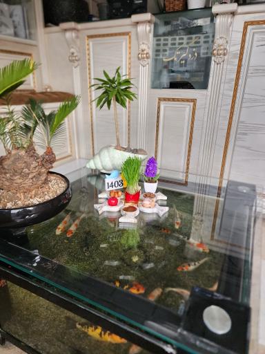 تعمیرات تخصصی دزدگیر تک