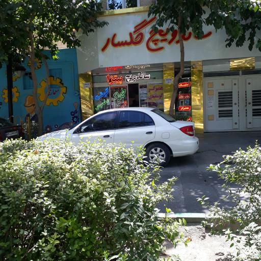 عکس پیتزا و ساندویچ گلسار