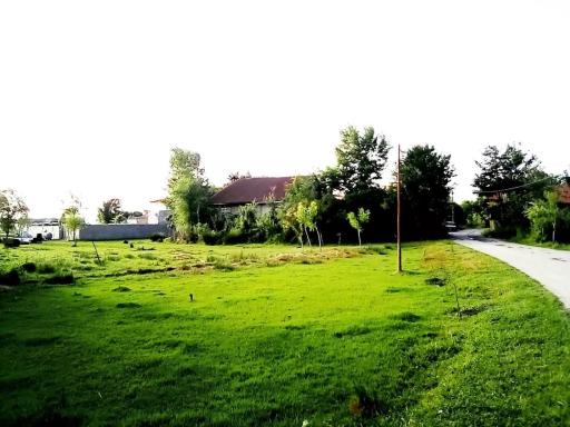 عکس بوجایه