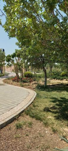 عکس بوستان زیتون ایرانیان