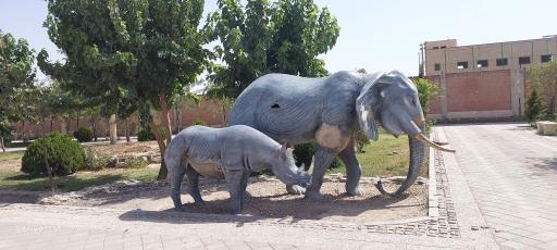 عکس بوستان زیتون ایرانیان