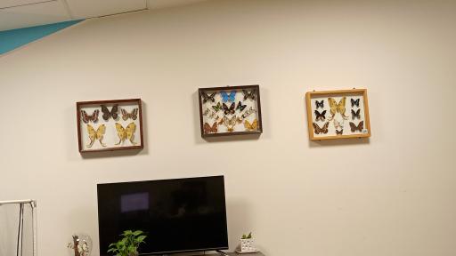 عکس شرکت تجهیزات حشره شناسی ماهور