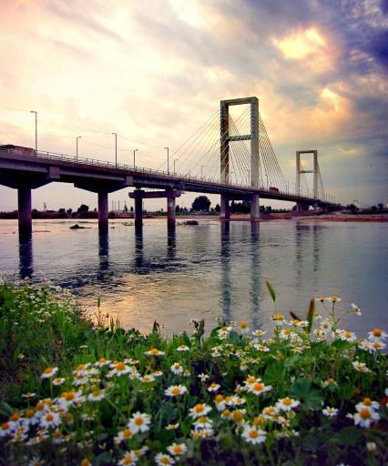 پل کابلی شوشتر