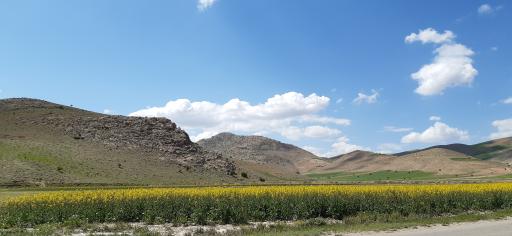 عکس سپید دشت