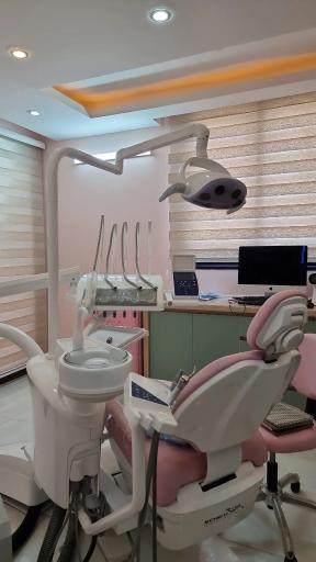 عکس دکتر الهام امینی